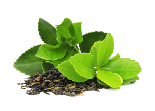 Organic Green Tea Caffeine