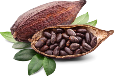 Theobromine